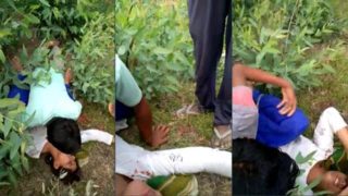 Desi Girl Caught & Gangbang Sex Video – Tamilsex – Oolveri